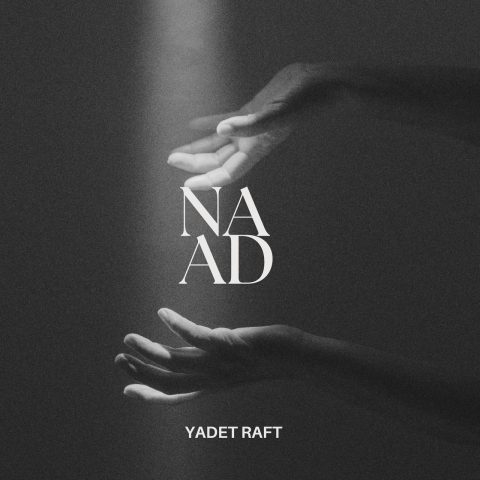 دانلود آهنگ ناد یادت رفت